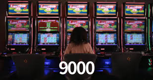 9000,9000.Com